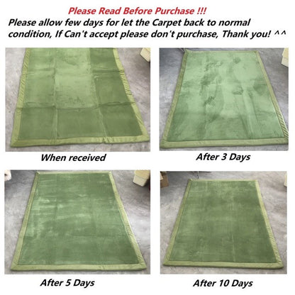 Tatami Carpet Karpet Tatami Gebu Karpet Tebal Tatami Carpet Karpet Murah Cheap Carpet Premium Carpet Karpet Cantik